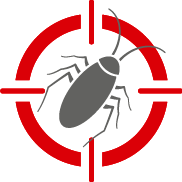 Mattress Fumigation Pros