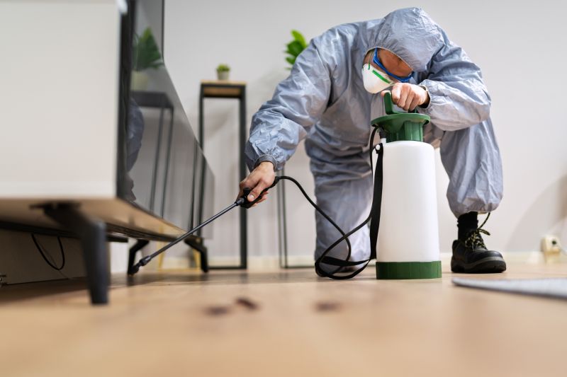 The Most Common Pests That Require Fumigation