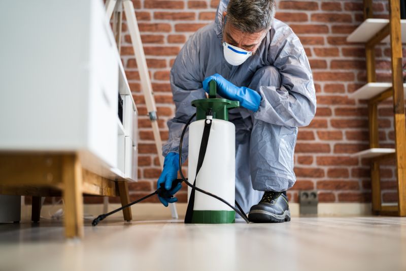 The Most Common Pests That Require Fumigation