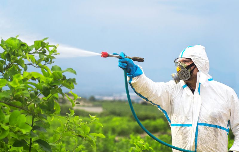 The Most Common Pests That Require Fumigation
