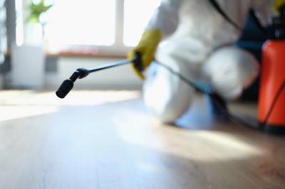 The Most Common Pests That Require Fumigation